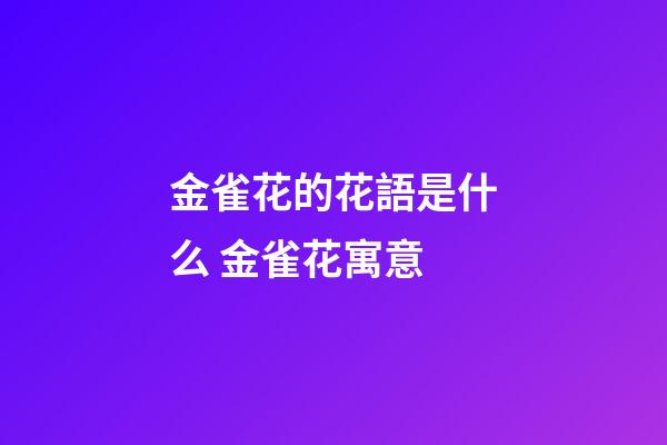 金雀花的花語是什么 金雀花寓意